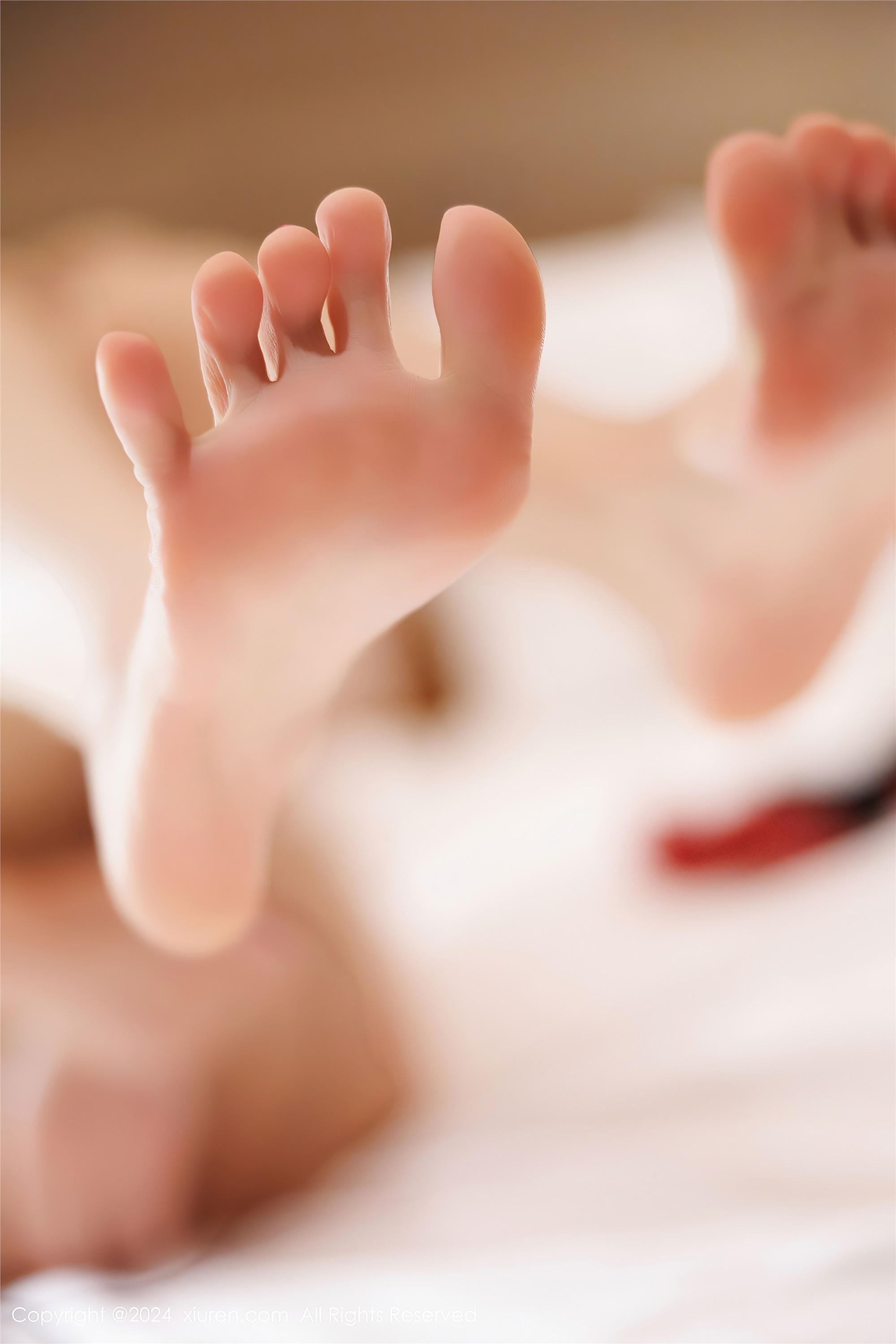 Xiuren秀人网 2024.12.13 NO.9599 杨晨晨Yome